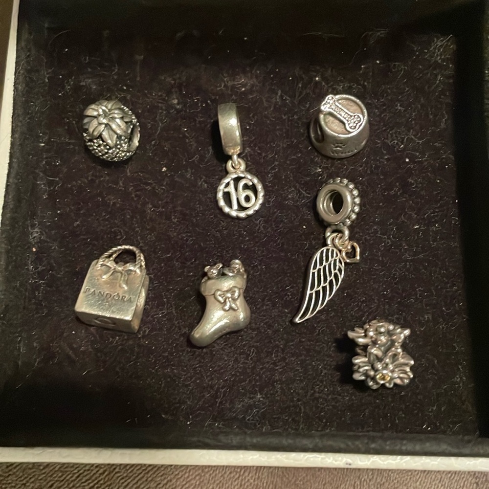 Pandora Charms